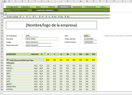 Resumen individual excel